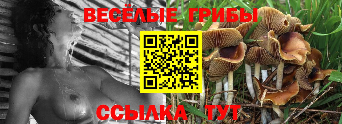 Галлюциногенные грибы ЛСД Кострома
