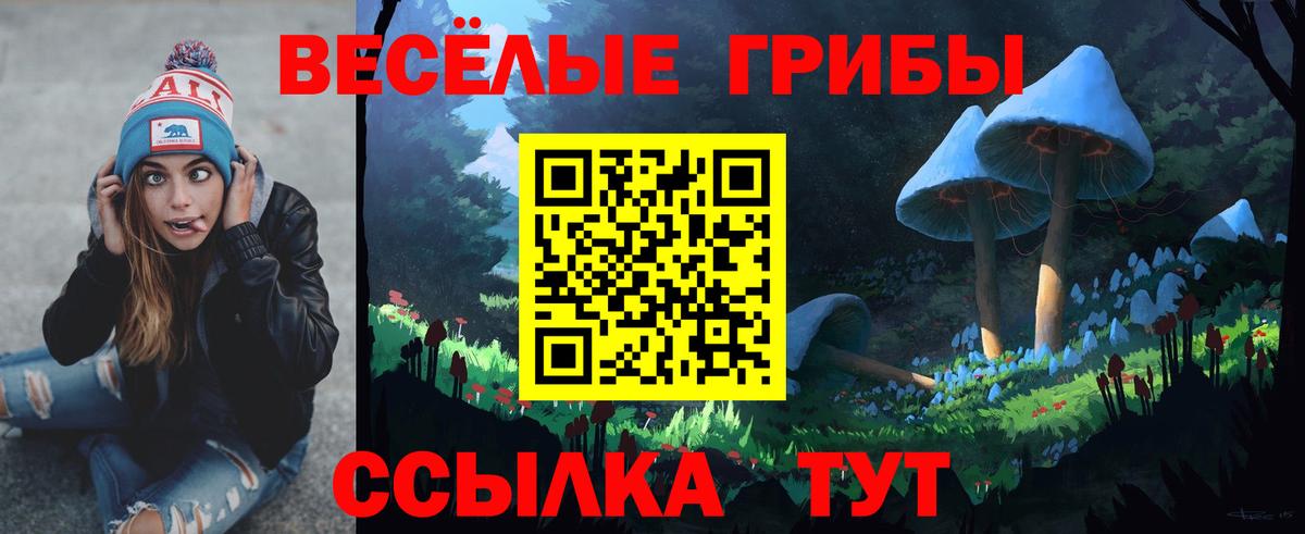 купить наркотик  Галлюциногенные грибы Cubensis  Вход с VPN  Кострома  Псилоцибиновые грибы Psilocybe 