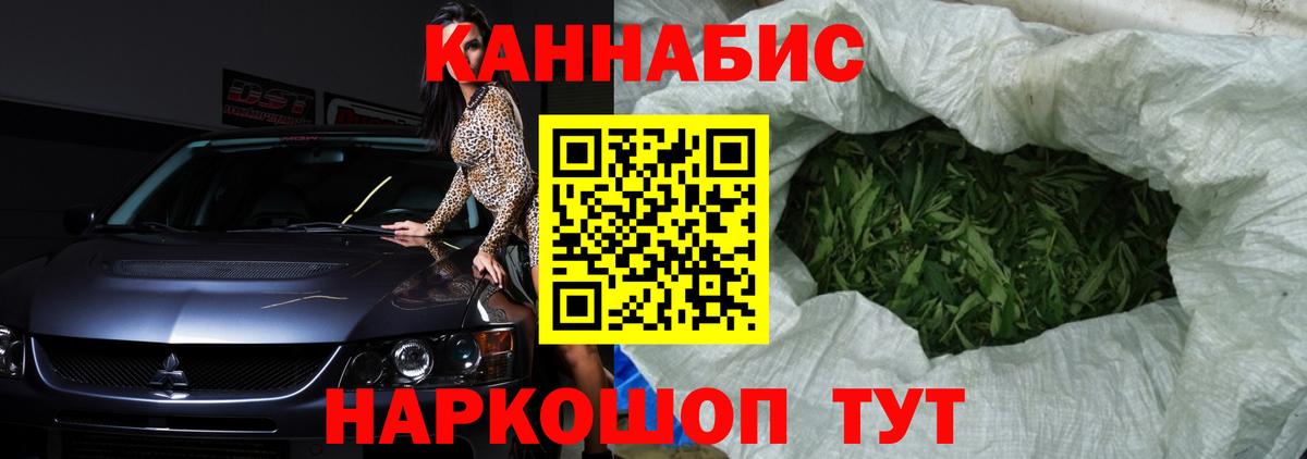 Бошки Шишки планчик Кострома